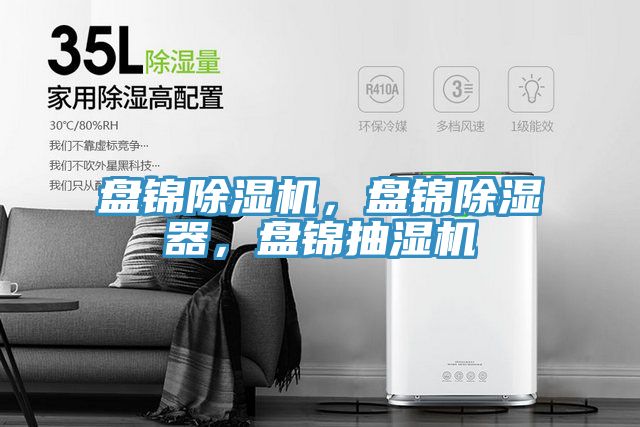 盘锦MR.好色破解版，盘锦除湿器，盘锦抽湿机