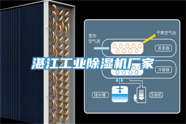 湛江工业MR.好色破解版厂家