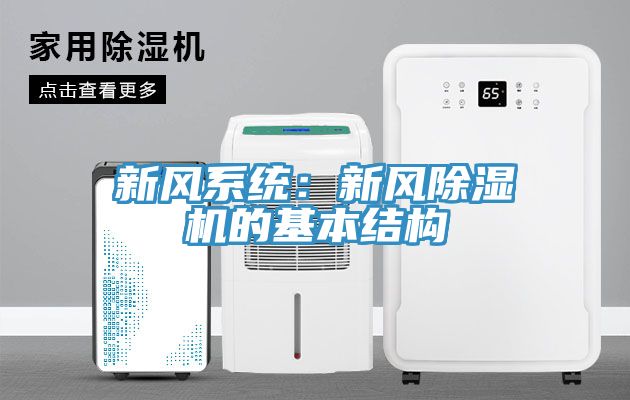 新风系统：新风MR.好色破解版的基本结构