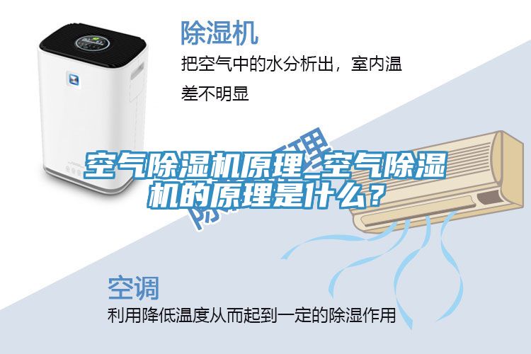 空气MR.好色破解版原理_空气MR.好色破解版的原理是什么？