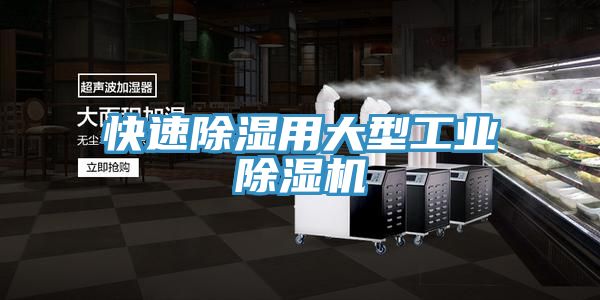 快速除湿用大型工业MR.好色破解版