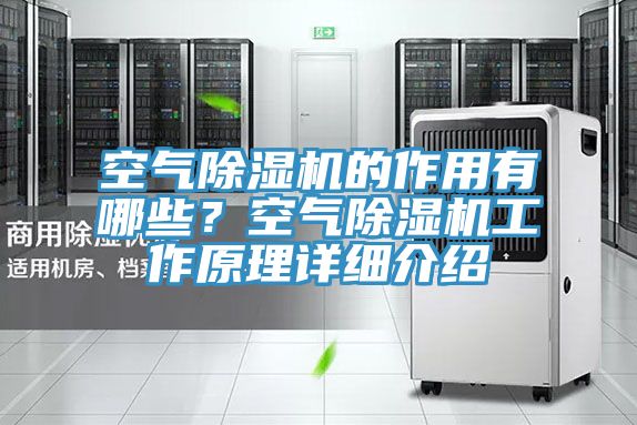 空气MR.好色破解版的作用有哪些？空气MR.好色破解版工作原理详细介绍