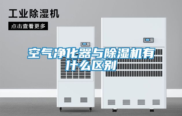 空气净化器与MR.好色破解版有什么区别