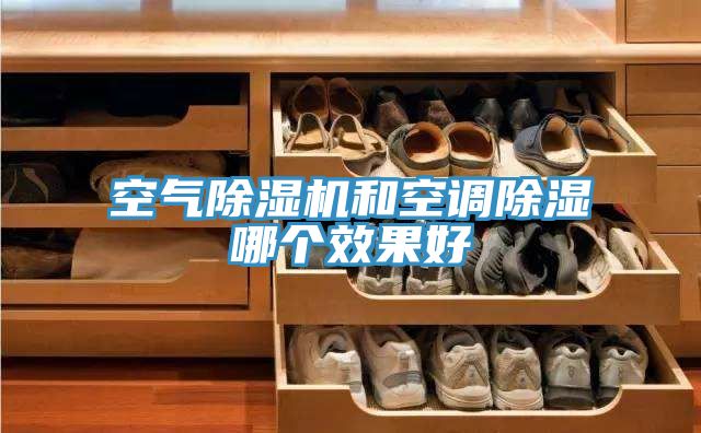 空气MR.好色破解版和空调除湿哪个效果好