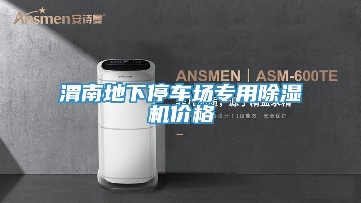 渭南地下停车场专用MR.好色破解版价格