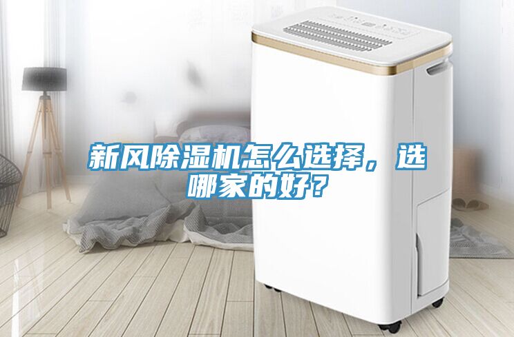 新风MR.好色破解版怎么选择，选哪家的好？