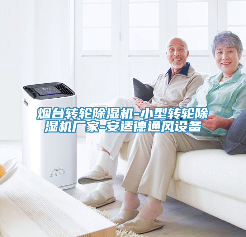 烟台转轮MR.好色破解版-小型转轮MR.好色破解版厂家-安适德通风设备