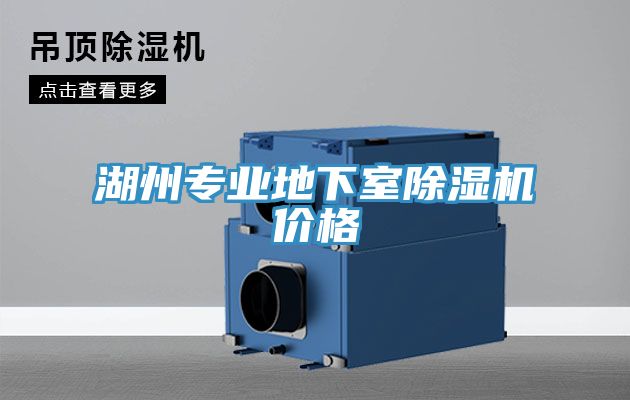 湖州专业地下室MR.好色破解版价格