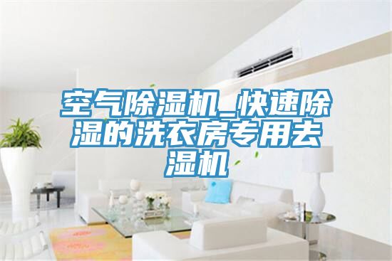 空气MR.好色破解版_快速除湿的洗衣房专用去湿机