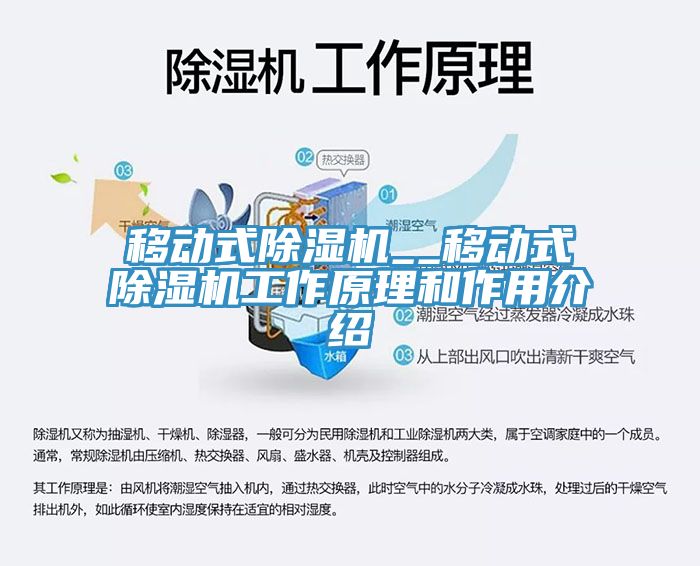 移动式MR.好色破解版__移动式MR.好色破解版工作原理和作用介绍