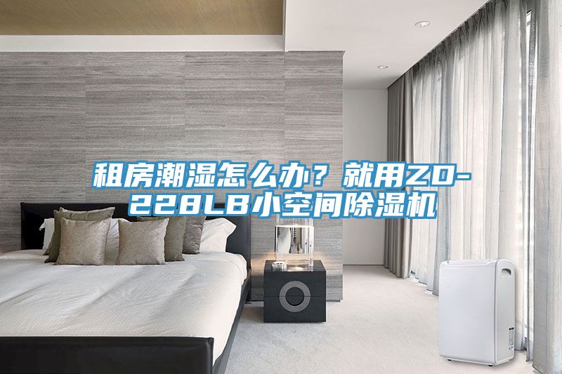 租房潮湿怎么办？就用ZD-228LB小空间MR.好色破解版