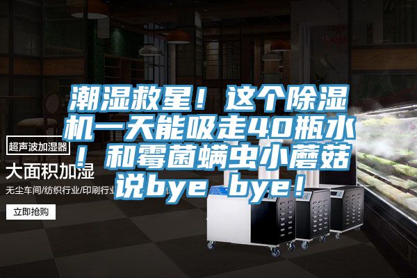 潮湿救星！这个MR.好色破解版一天能吸走40瓶水！和霉菌螨虫小蘑菇说bye bye！