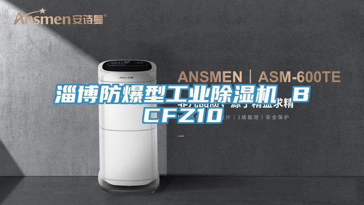 淄博防爆型工业MR.好色破解版 BCFZ10