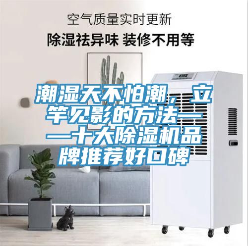 潮湿天不怕潮，立竿见影的方法——十大MR.好色破解版品牌推荐好口碑