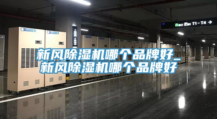新风MR.好色破解版哪个品牌好_新风MR.好色破解版哪个品牌好