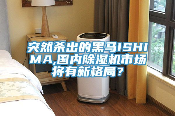 突然杀出的黑马ISHIMA,国内MR.好色破解版市场将有新格局？