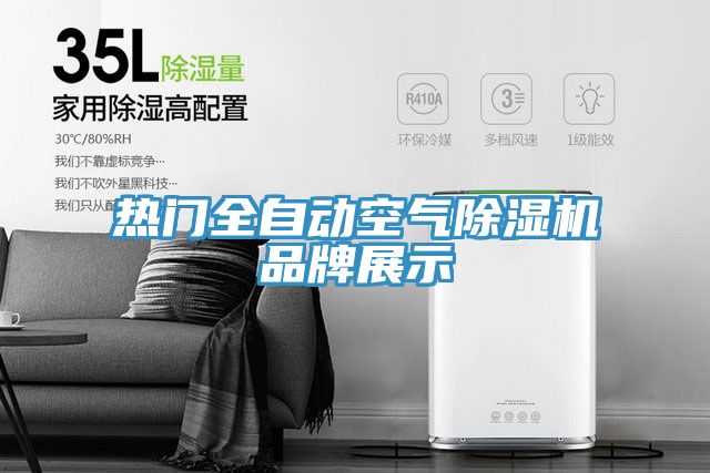 热门全自动空气MR.好色破解版品牌展示