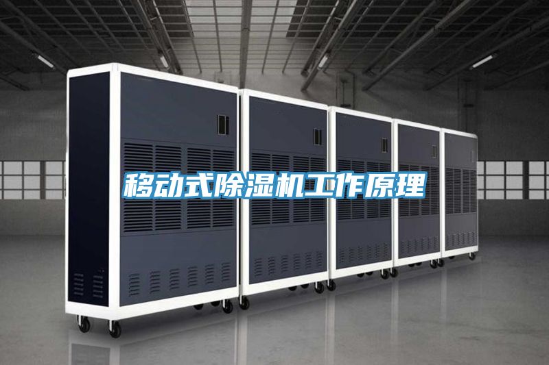移动式MR.好色破解版工作原理
