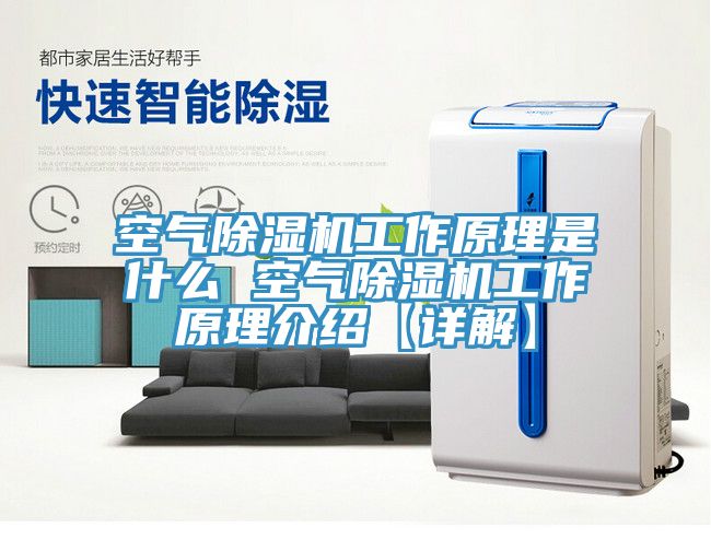 空气MR.好色破解版工作原理是什么 空气MR.好色破解版工作原理介绍【详解】