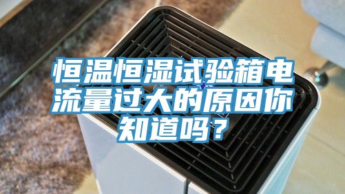 恒温恒湿试验箱电流量过大的原因你知道吗？