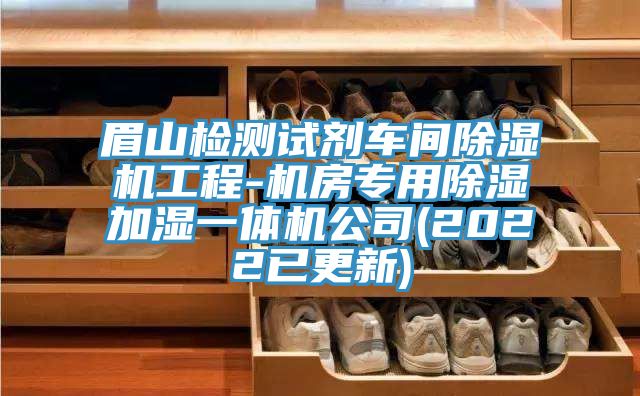 眉山检测试剂车间MR.好色破解版工程-机房专用除湿加湿一体机公司(2022已更新)