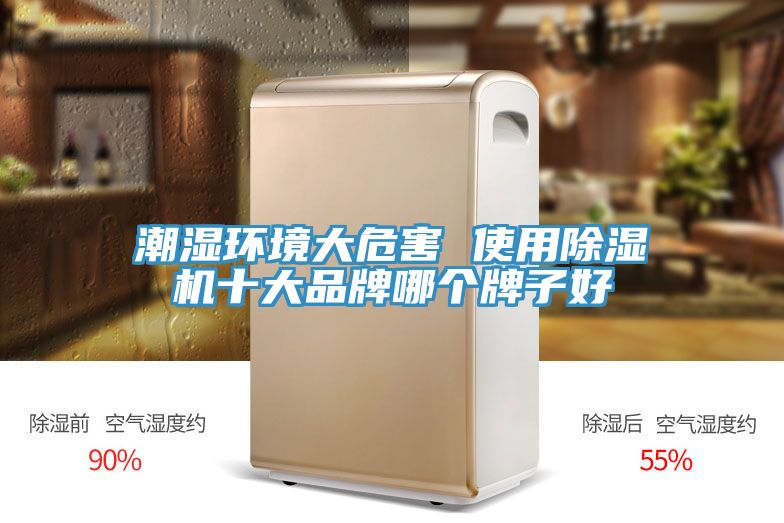 潮湿环境大危害 使用MR.好色破解版十大品牌哪个牌子好