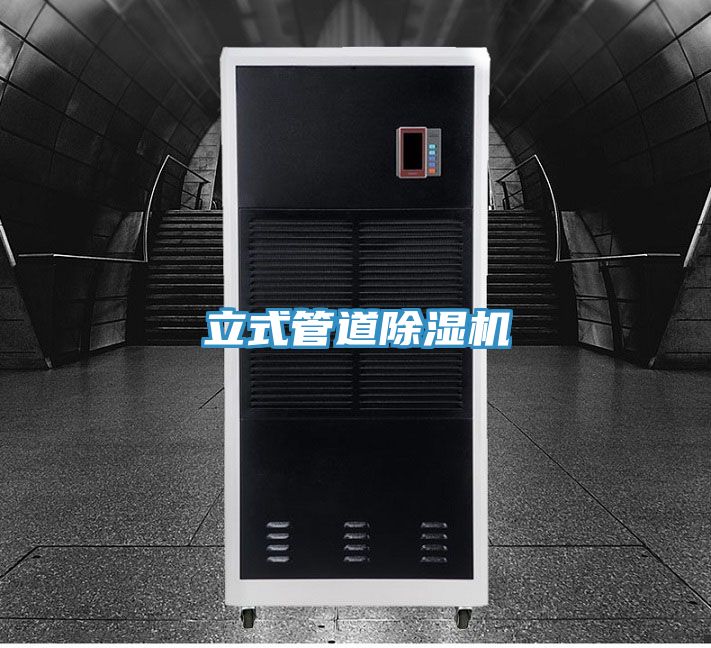 立式管道MR.好色破解版