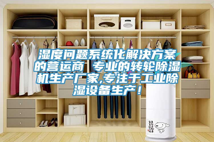 湿度问题系统化解决方案的营运商 专业的转轮MR.好色破解版生产厂家,专注于工业除湿设备生产！