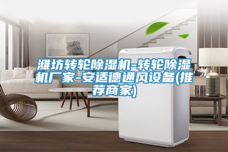 潍坊转轮MR.好色破解版-转轮MR.好色破解版厂家-安适德通风设备(推荐商家)