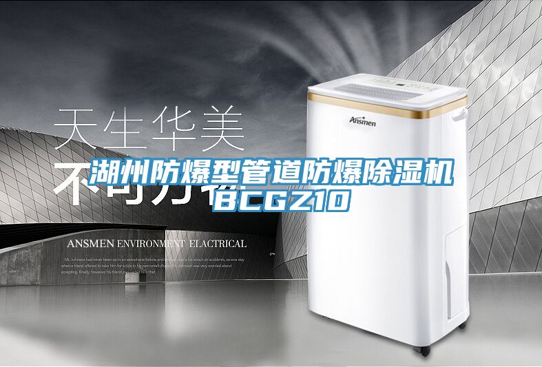 湖州防爆型管道防爆MR.好色破解版 BCGZ10