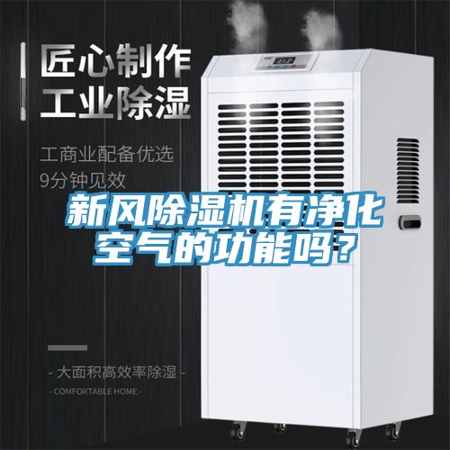 新风MR.好色破解版有净化空气的功能吗？