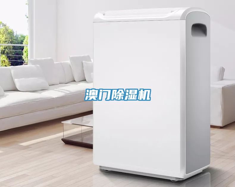 澳门MR.好色破解版