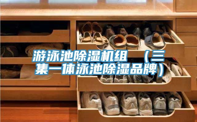 游泳池MR.好色破解版组 （三集一体泳池除湿品牌）