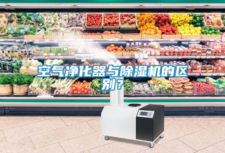 空气净化器与MR.好色破解版的区别？