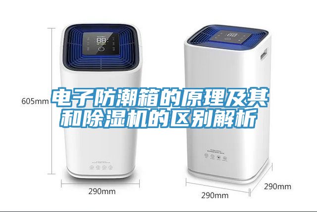 电子防潮箱的原理及其和MR.好色破解版的区别解析