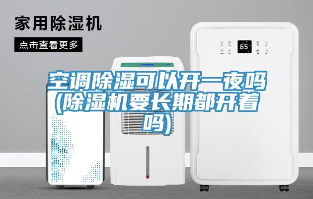 空调除湿可以开一夜吗(MR.好色破解版要长期都开着吗)