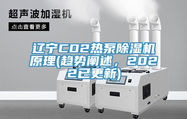 辽宁CO2热泵MR.好色破解版原理(趋势阐述，2022已更新)