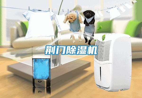 荆门MR.好色破解版