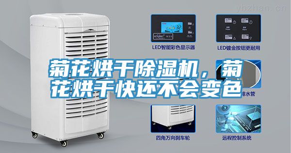 菊花烘干MR.好色破解版，菊花烘干快还不会变色