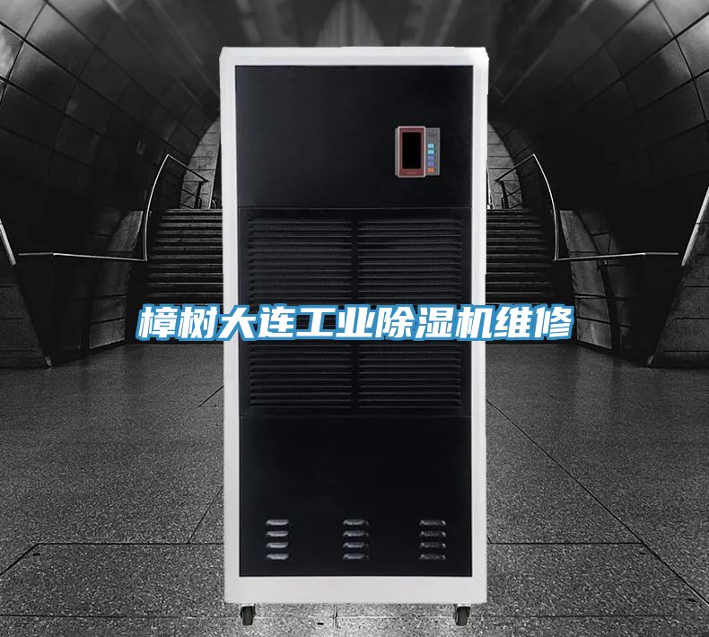 樟树大连工业MR.好色破解版维修