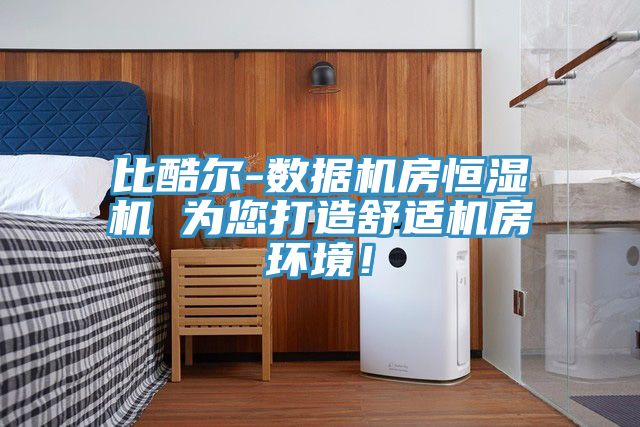 比酷尔-数据机房恒湿机 为您打造舒适机房环境！