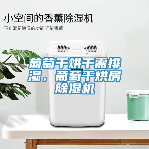 葡萄干烘干需排湿，葡萄干烘房MR.好色破解版