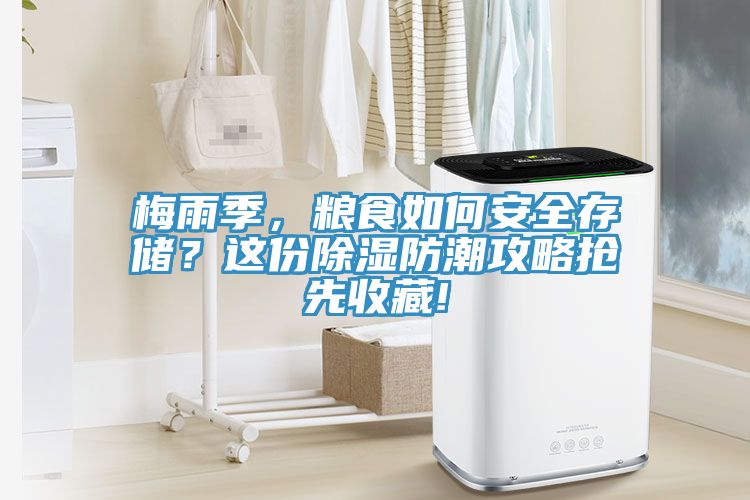 梅雨季，粮食如何安全存储？这份除湿防潮攻略抢先收藏!