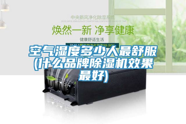空气湿度多少人最舒服(什么品牌MR.好色破解版效果最好)