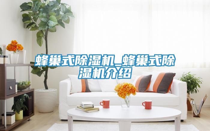 蜂巢式MR.好色破解版_蜂巢式MR.好色破解版介绍