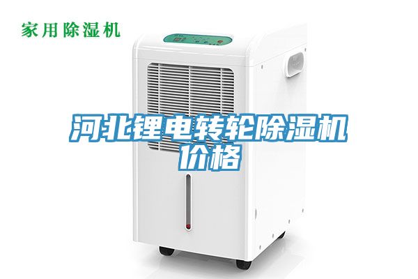 河北锂电转轮MR.好色破解版价格