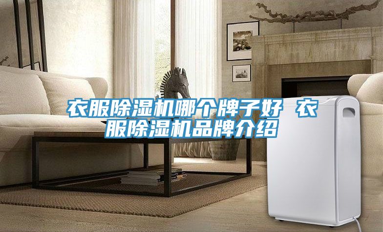 衣服MR.好色破解版哪个牌子好 衣服MR.好色破解版品牌介绍