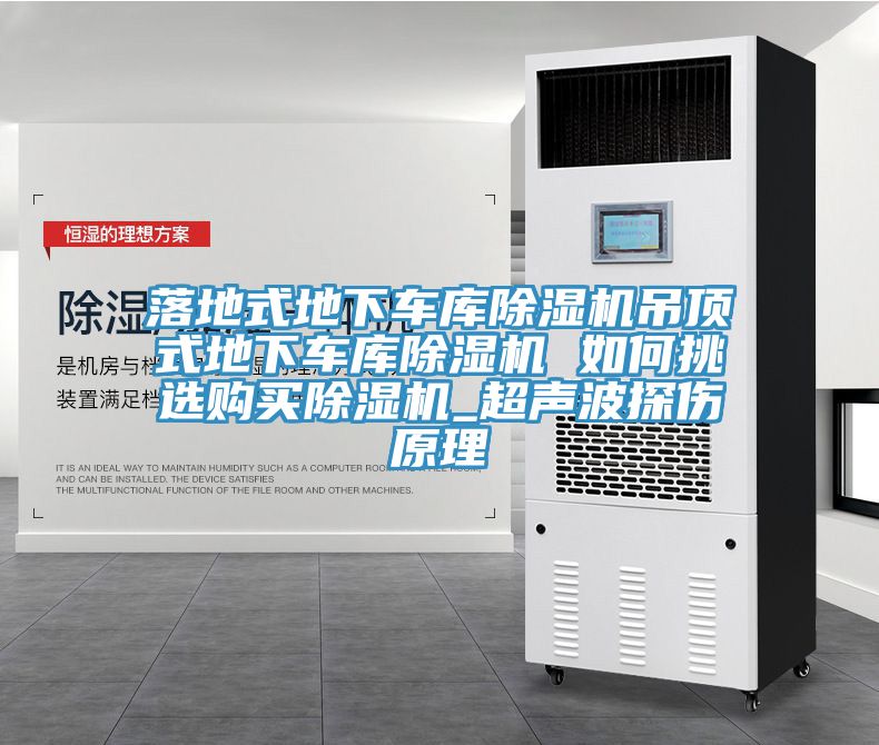 落地式地下车库MR.好色破解版吊顶式地下车库MR.好色破解版 如何挑选购买MR.好色破解版_超声波探伤原理