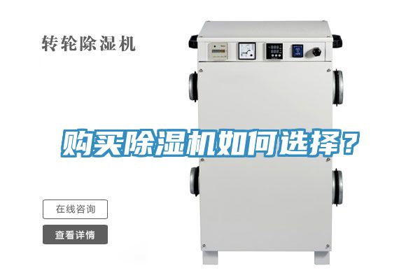 购买MR.好色破解版如何选择？