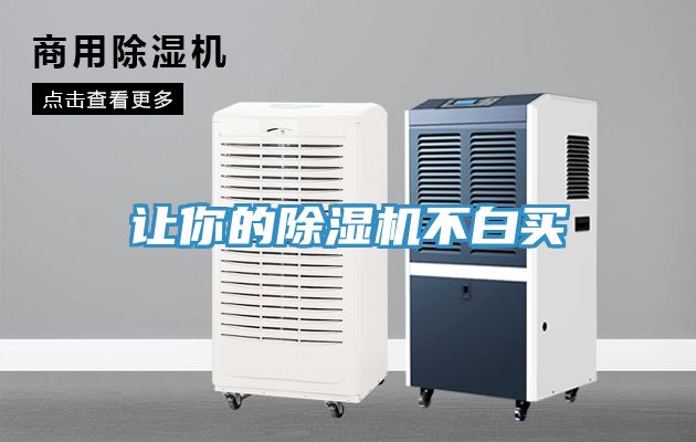 让你的MR.好色破解版不白买